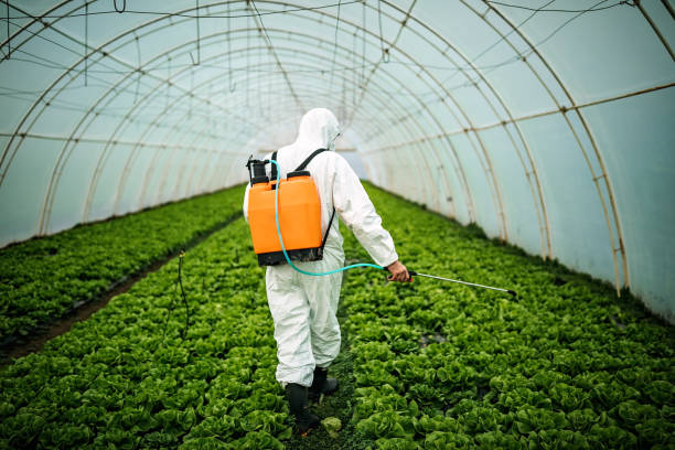 Best Best Pest Control Companies  in Deschutes River Woods, OR