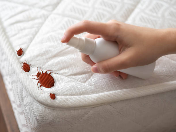 Best Emergency Pest Control  in Deschutes River Woods, OR