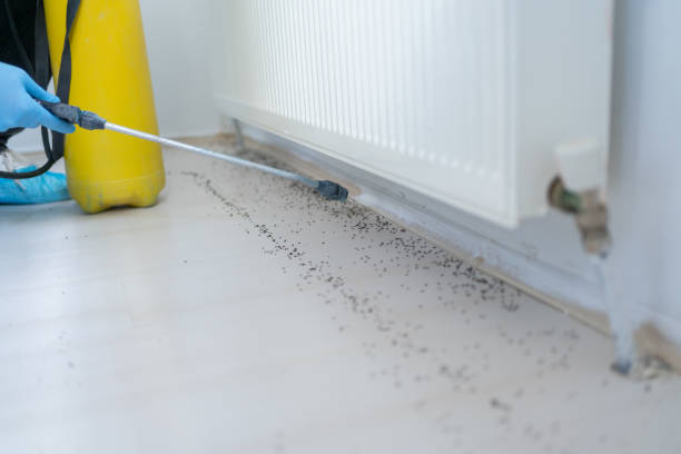 Best Affordable Pest Control Services  in Deschutes River Woods, OR